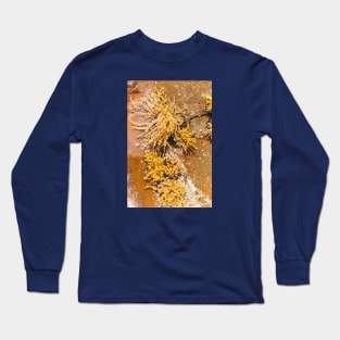 Yellow Sea Weed Growing In Shallow Rock Pool Long Sleeve T-Shirt